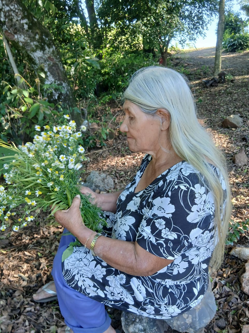 Foto 2 - Guardiões das Etnias